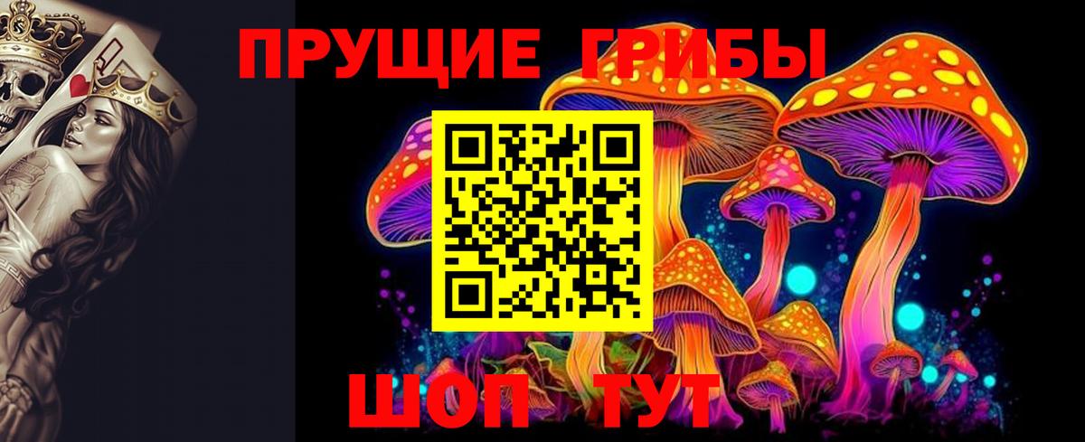 Псилоцибиновые грибы Cubensis  Псилоцибиновые грибы MAGIC MUSHROOMS  как найти   Вход с VPN  Похвистнево 
